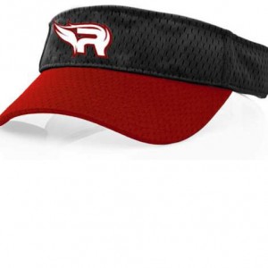 visiere redwings